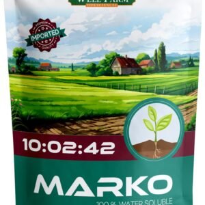 marko